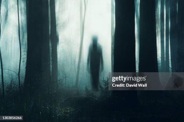 a spooky concept of a ghostly figure silhouetted between trees in a forest on a moody, foggy winters day. with a grunge, abstract edit. england, uk - fantasma foto e immagini stock