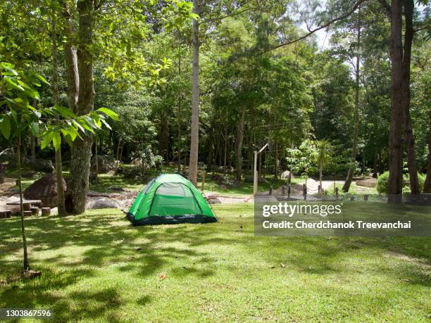 green colour camping tent in the field - camp grounds stock pictures, royalty-free photos & images