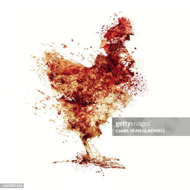 chicken illustration - chicken decoration stock-fotos und bilder