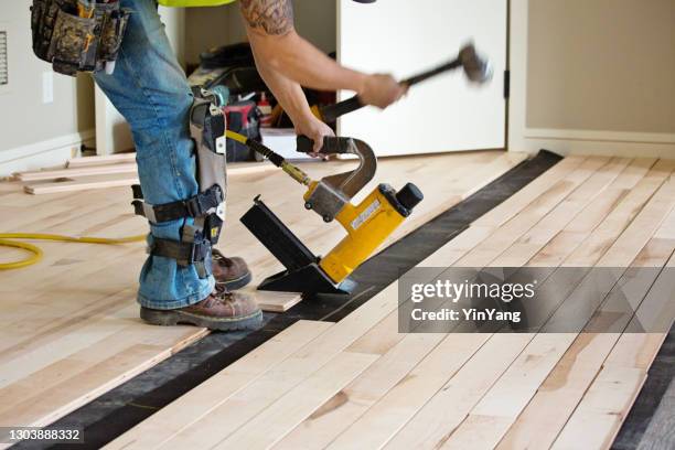 installation of maple hardwood flooring with nail gun in progress - hardwood stock pictures, royalty-free photos & images