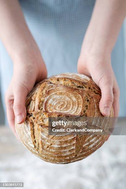 baker holding a freshly baked round loaf of sourdough bread. - baking bread stock pictures, royalty-free photos & images