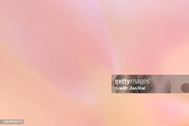 backlit defocused single pink orchid flower full frame creating soft dreamy background - femminilità foto e immagini stock
