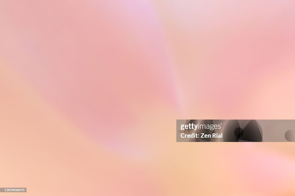 Backlit defocused single pink orchid flower full frame creating soft dreamy background