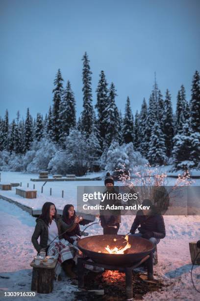 family roasts marshmallows around an open fire at a wintery setting - haardvuur stockfoto's en -beelden