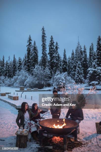 family roasts marshmallows around an open fire at a wintery setting - log fire stock pictures, royalty-free photos & images