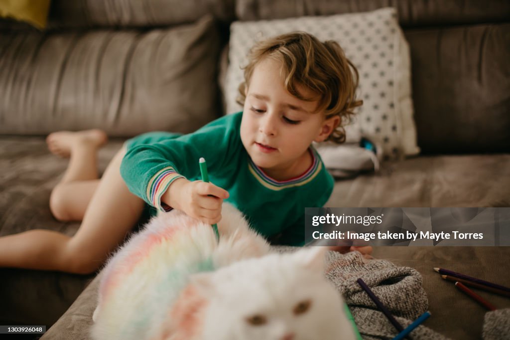 Boy painting a white cat