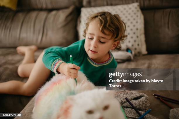 boy painting a white cat - be naughty 個照片及圖片檔