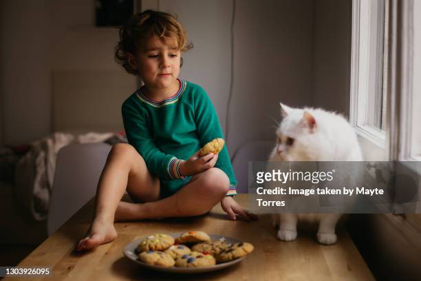 boy holding a cookie next to his cat, on top of a table - toddler eating sandwich stock pictures, royalty-free photos & images
