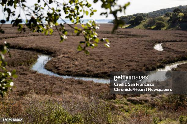 An estuary is seen beneath Turtle Back Trail at China Camp State Park in San Rafael, Calif. Tuesday, February 23, 2021. Campgrounds around the Bay...