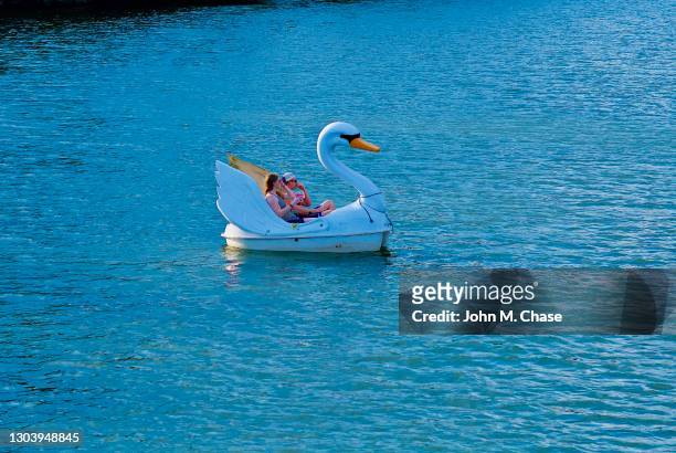 couple enjoy a swanboat on lady bird lake, austin, texas - pedal boat stock pictures, royalty-free photos & images