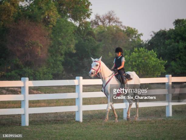young asian girl enjoy riding horse in the farm, girl horseback riding training at the ranch, she riding a white coloured arabian horse in thailand - recreational horseback riding stock pictures, royalty-free photos & images