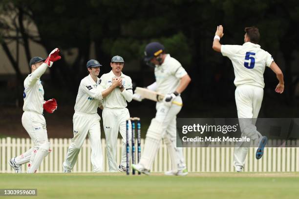 Daniel Hughes of the Blues celebrates with team mates after taking a catch to dismiss Marcus Harris of Victoria off the bowling of Harry Conway of...