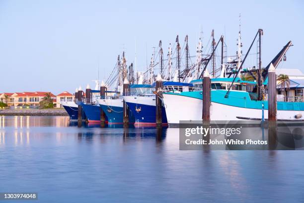 prawn trawlers at lincoln cove. port lincoln. eyre peninsula. south australia. - port lincoln stockfoto's en -beelden