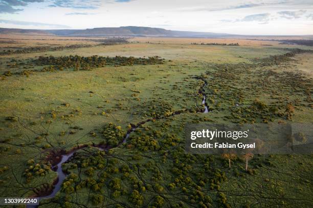 vista aérea de maasai mara - llanura fotografías e imágenes de stock