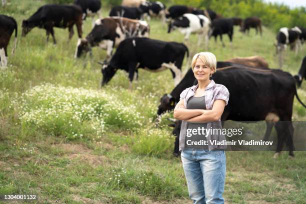 woman with crossed arms standing in front of cow herd - farmer arms crossed stock pictures, royalty-free photos & images