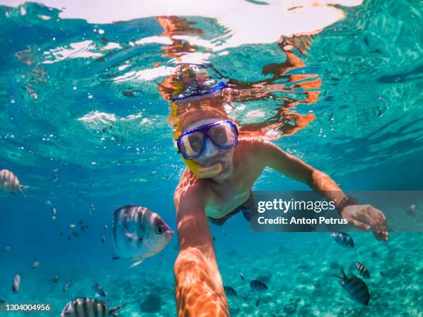 snorkeling near a tropical island. young man swims in the water. caribbean sea - snorkeling stock pictures, royalty-free photos & images