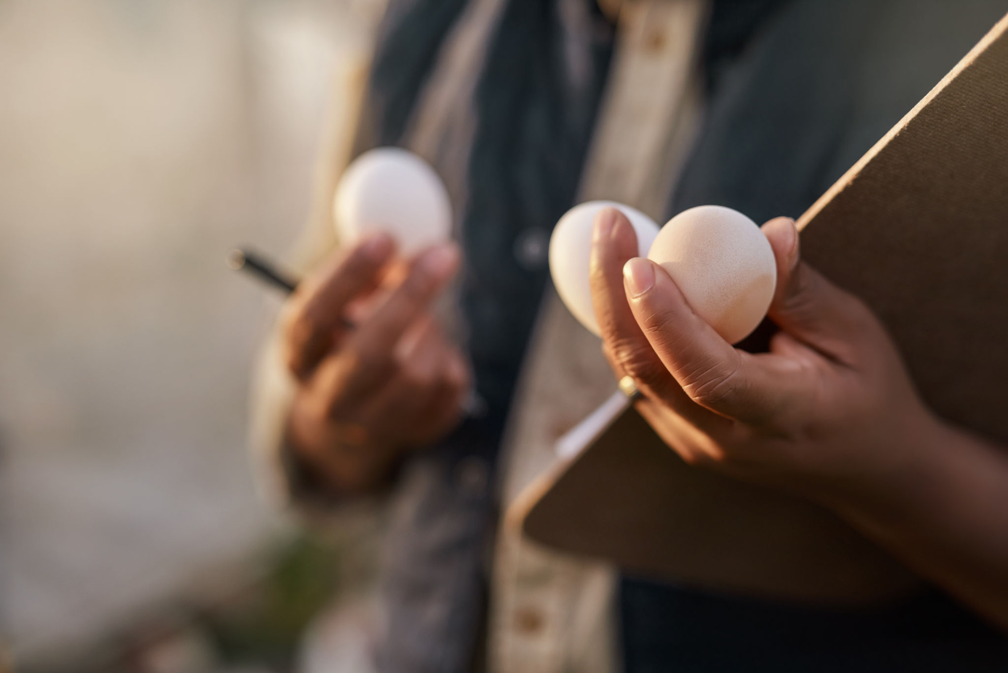 egg donation process