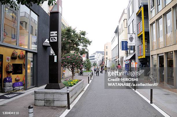 street - omotesando tokio stock-fotos und bilder
