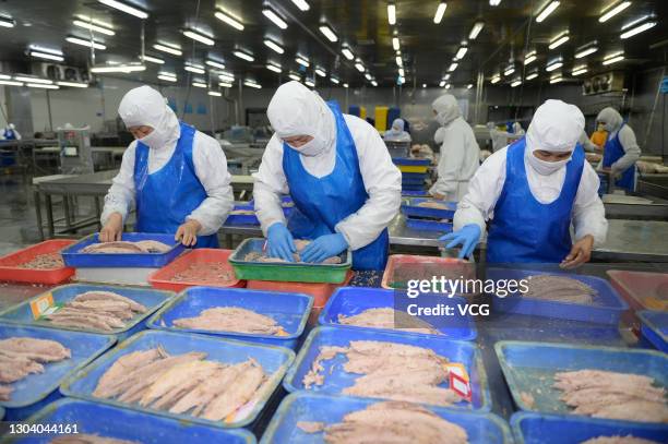 Tuna Process Tuna Processing Photos and Premium High Res Pictures - Getty Images