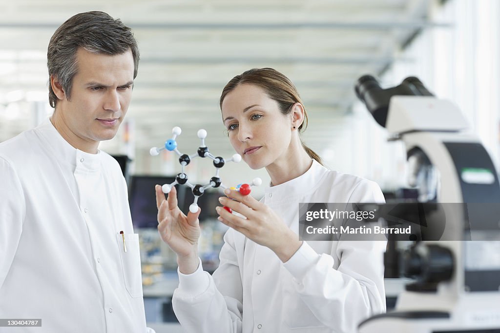 Scientist examining molecular model in lab