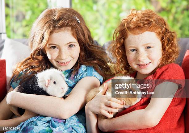 girls holding pet hamsters in living room - guinea pig stock pictures, royalty-free photos & images