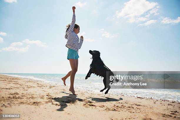 girl playing with dog on beach - dog jumping bildbanksfoton och bilder