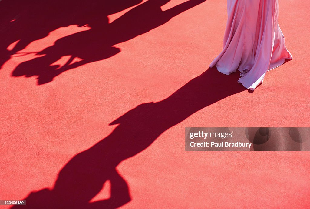 Celebrity standing on red carpet