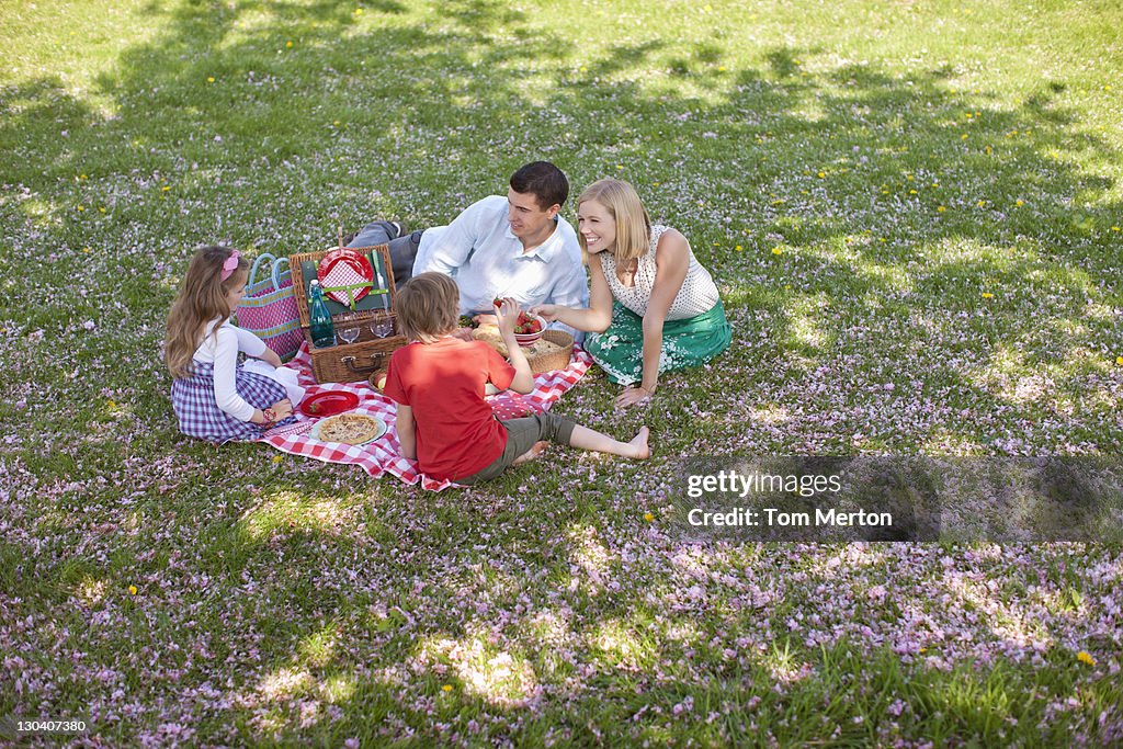 Family picnicking in park