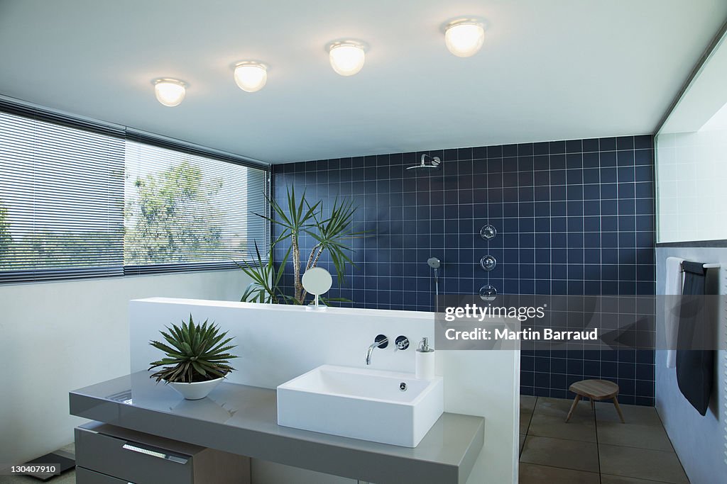 Tiled open shower in modern bathroom