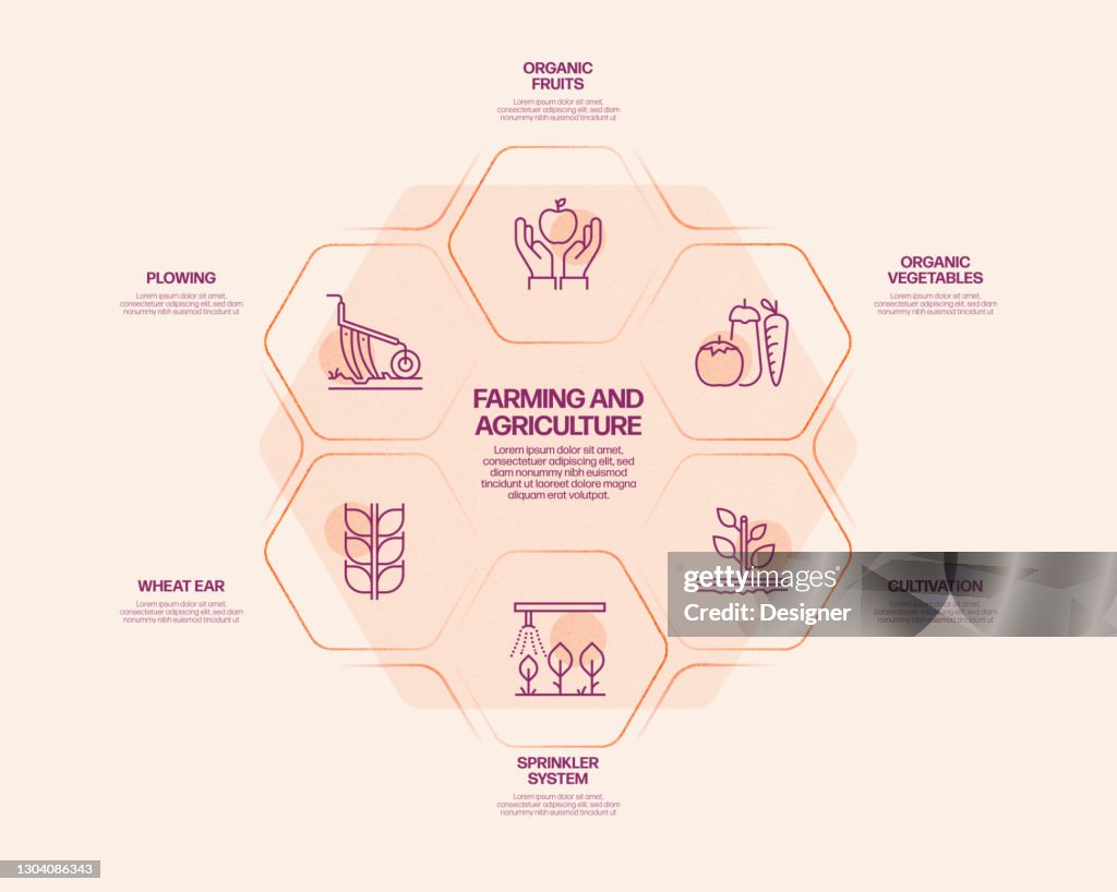 Farming And Agriculture Related Process Infographic Template Process ...