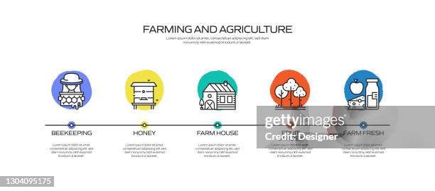Farming And Agriculture Related Process Infographic Template Process ...