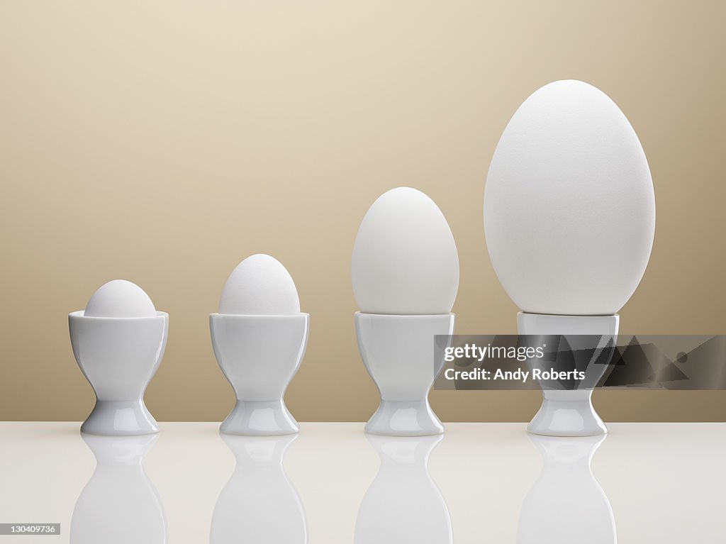 Various eggs in egg cups