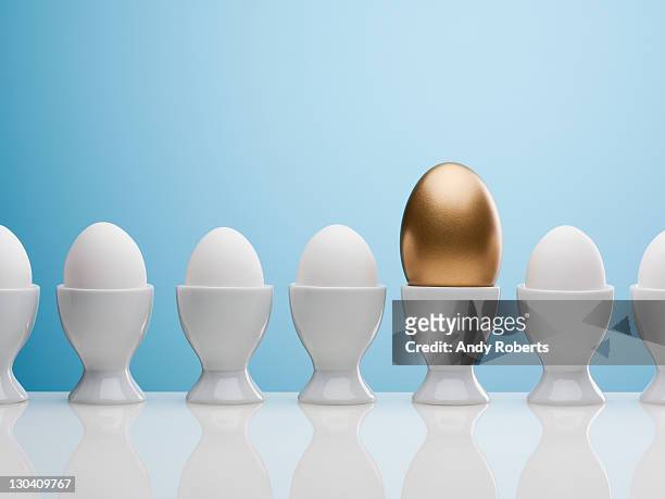 golden egg in egg cup - gold concept stock-fotos und bilder