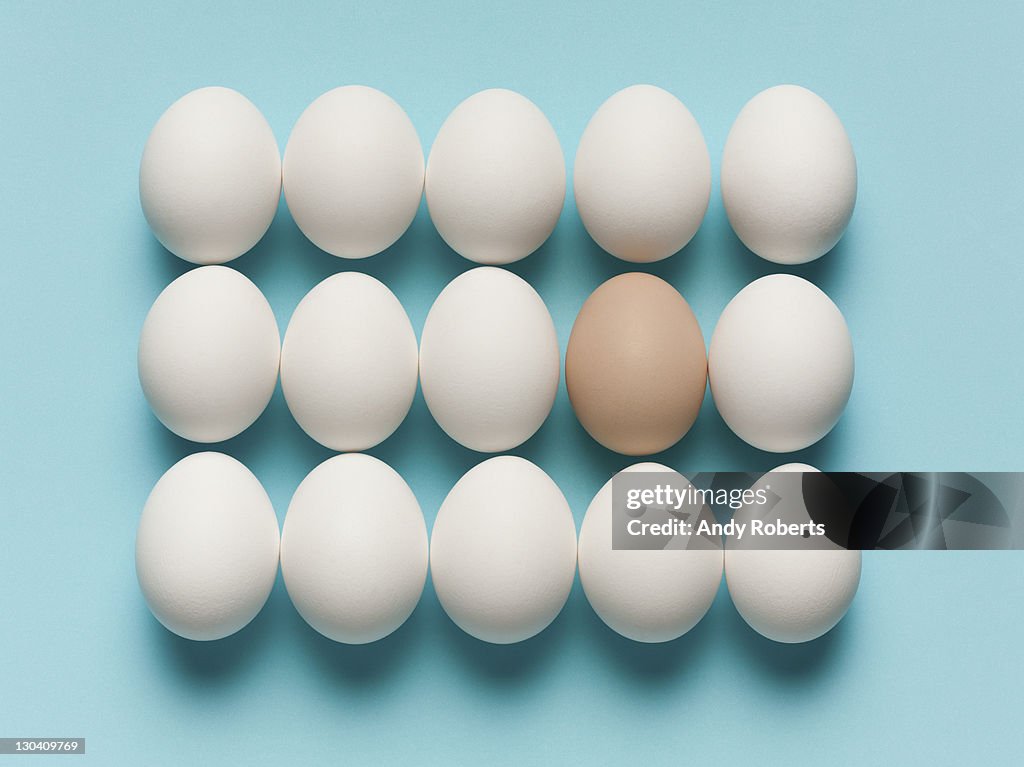 Brown egg with large white eggs