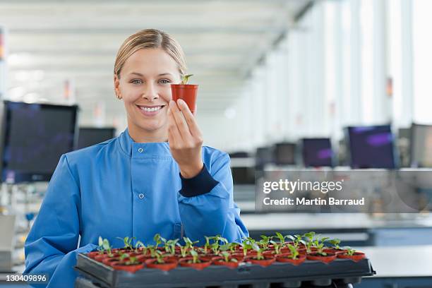 scientifique avec plante en pot en lab - prélèvement à tester photos et images de collection