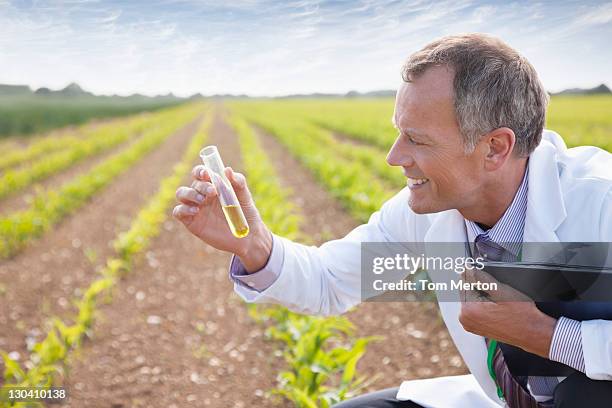 scientist examining liquid in test tube outdoors - chichester stockfoto's en -beelden