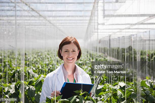 cientista examinando as plantas em estufa - scientist imagens e fotografias de stock