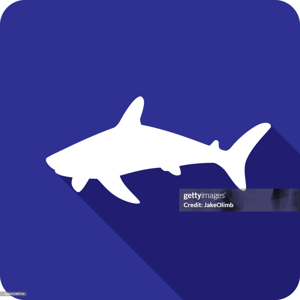 Shark Icon Silhouette 8