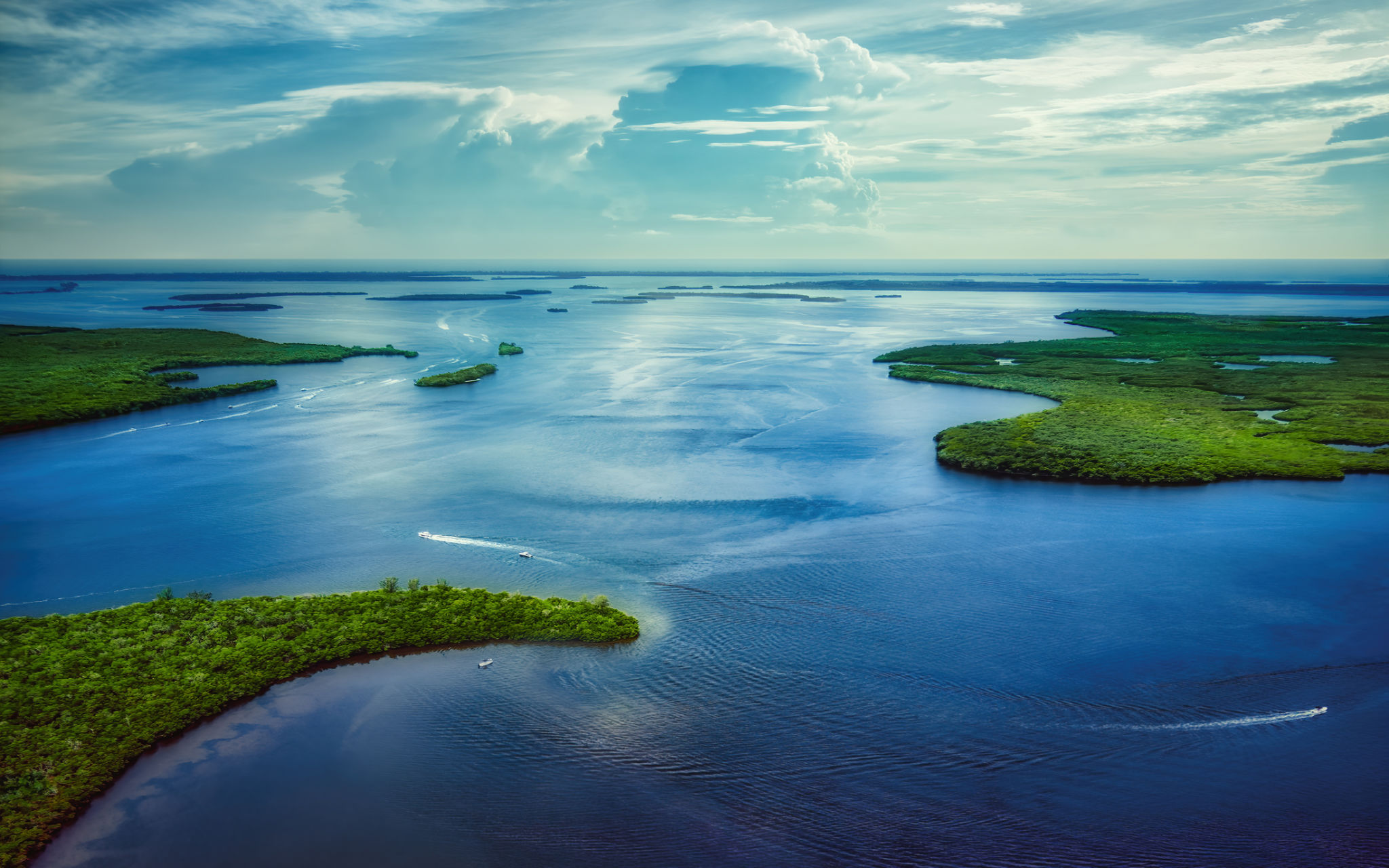 cape coral landscape