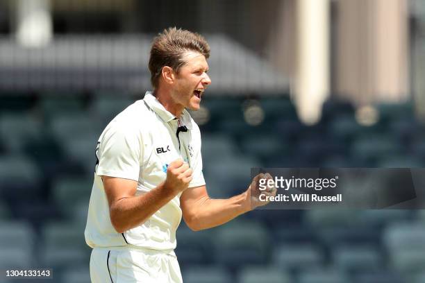 Cameron Gannon of the Warriors celebrates the wicket of Travis Head of the Redbacks during day two of the Sheffield Shield match between Western...