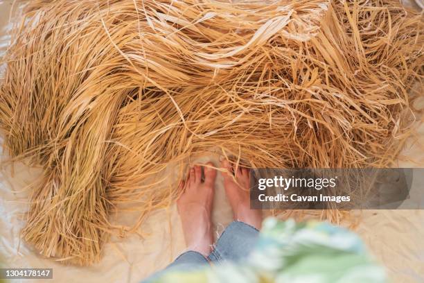female feet and natural palm raffia, top view. - raffia stock pictures, royalty-free photos & images