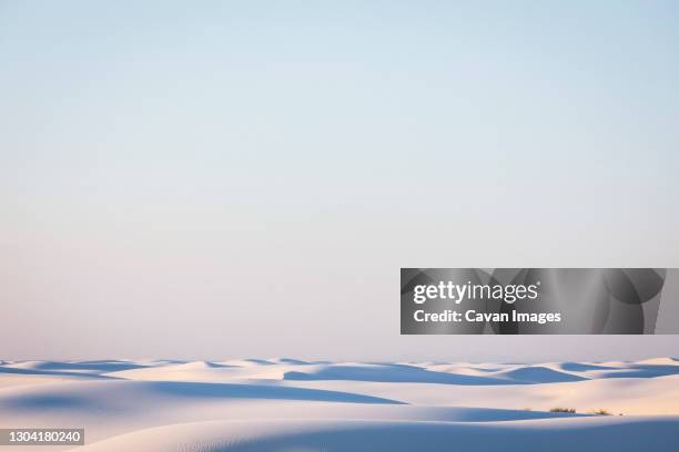 sand dunes in white sands national park - sand plants stock pictures, royalty-free photos & images