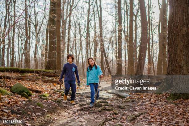 two children walk on path through woods in fall holding walking sticks - lane sisters ストックフォトと画像