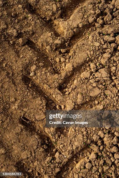 tractor wheel mark on the sand. wheel tread mark on a dirt road. - tyre track stock pictures, royalty-free photos & images
