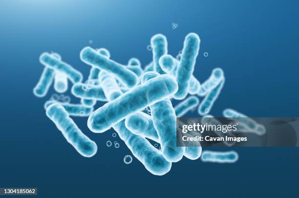 close-up of 3d rendering microscopic blue bacteria. - lactobacillus stock pictures, royalty-free photos & images