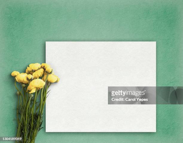 white paper blank and beautiful ranunculus flower on green background.top view for wedding mockup or greeting card on mother day in flat lay style. - wedding card background stock pictures, royalty-free photos & images
