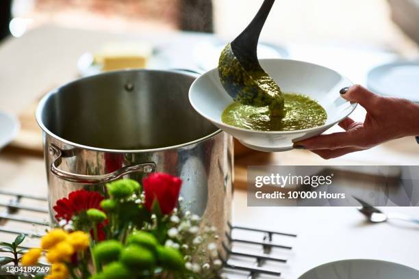 close up of woman serving soup from saucepan - cucharón fotografías e imágenes de stock