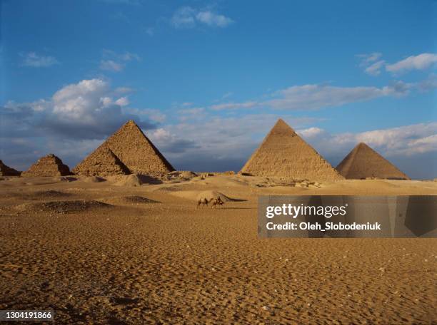 scenic view of giza pyramids at sunset - gizeh piramides imagens e fotografias de stock