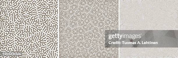 dark grayish brown natural maze labyrinth patterns on white. - ant nest stock pictures, royalty-free photos & images