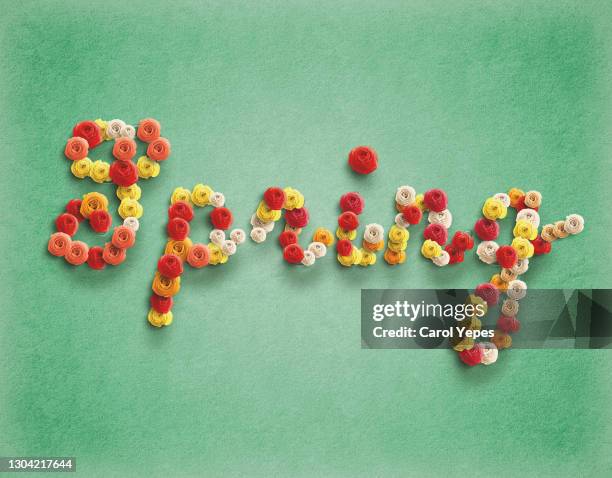 spring single word made of ranuculus flowers in green background - table font view stock pictures, royalty-free photos & images